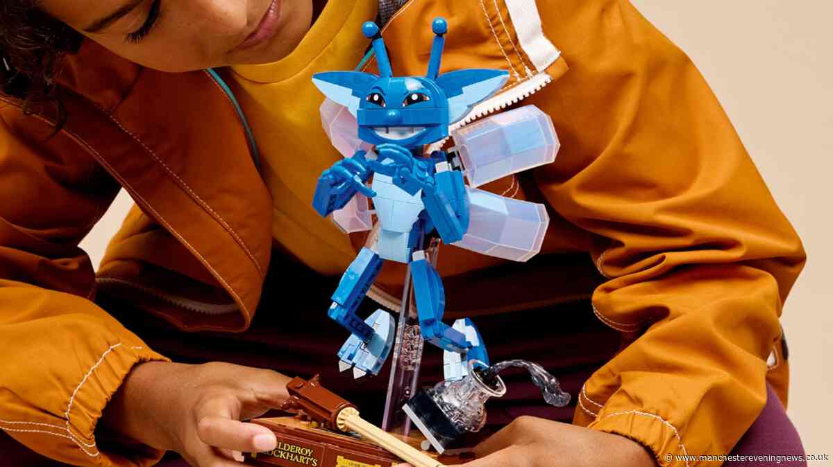 Harry Potter fans race to snap up £25 LEGO Cornish Pixie set for just £1.84