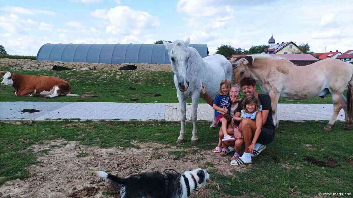 Schneiderhof Kirchötting: 80 Tiere, kein Heu und finanziell am Limit