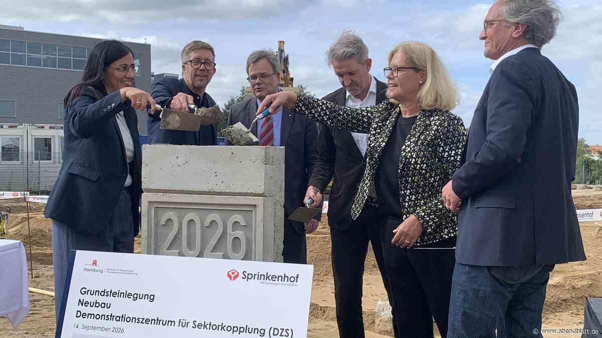 „Klimawende sexy“ – das planen Bergedorfs Forscher