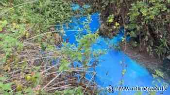 ‘Do not swim’ warning issued at Exmouth Beach after water turns bright blue