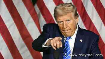 Leaked video exposes $300,000 secret operation to score a Trump pardon