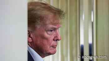 OpenAI CEO calls for AI pacing as Trump insists he's not downplaying risk