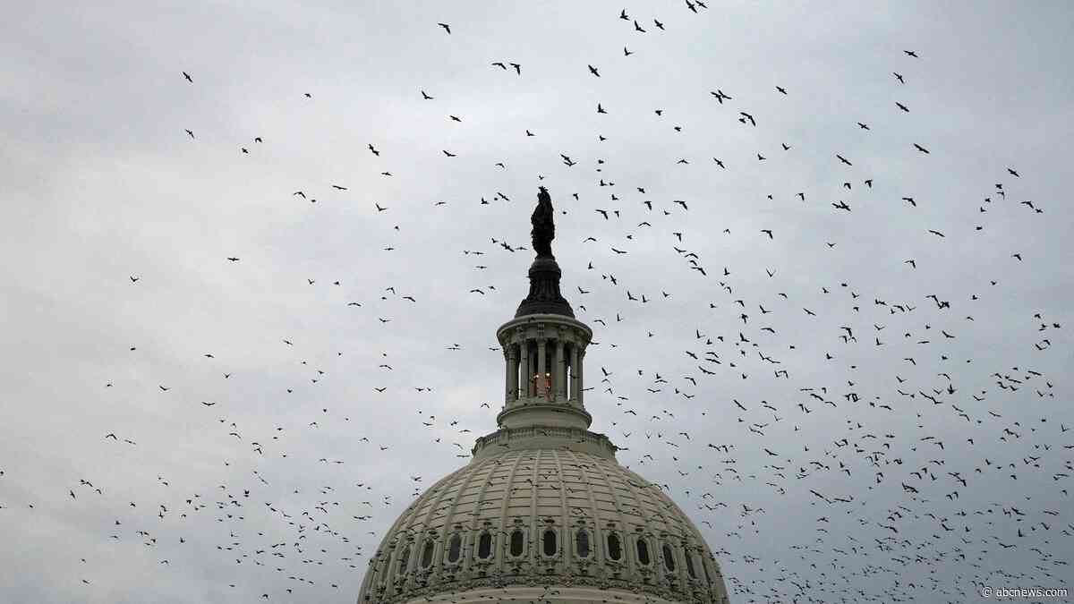 Military funding, AI and more: Congress returns for short stint before bolting again