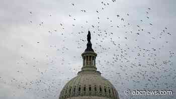 Military funding, AI and more: Congress returns for short stint before bolting again