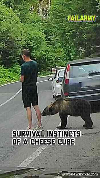 What happens when you don't pay attention #bear #wildanimals #animalencounters #scare #shorts