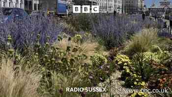 From 'cat litter tray' to gardens backed by locals
