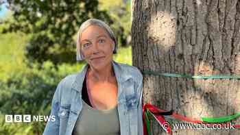 Oak tree saved after two-year campaign