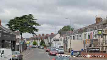 Police cars crash forces Cardiff road closure
