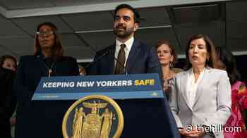 States and cities sue over 'public charge' green card restrictions