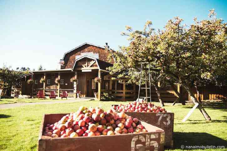 Rescue dog and family pet Mika inspires Merridale’s ‘Harvest for Hounds’ in Cowichan