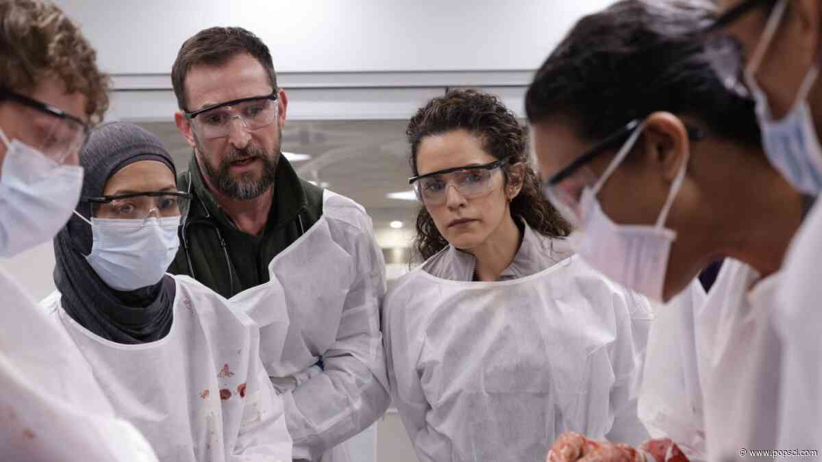 What makes ‘The Pitt’ so horrifyingly realistic? We asked the show’s makeup and prosthetic pros.