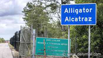Explosive report into Trump's now-closed 'Alligator Alcatraz' migrant detention facility reveals small cage 'calming areas' and other deplorable conditions