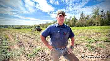 N.B. farm exists for one purpose: feeding people who need it the most