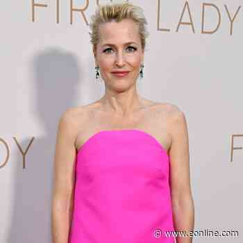 Gillian Anderson Comes Out as Pansexual