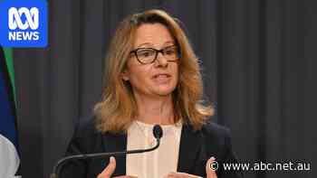 Australia needs AI 'early warning system', cyber security chief says