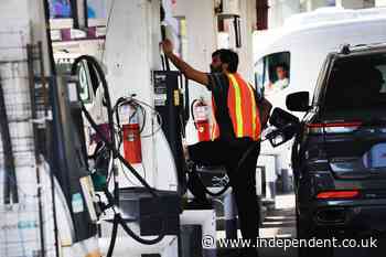 The midterms might be won or lost on a single issue: The gas tank