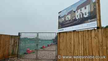 Houses finally set to be built on site of old Gower pub
