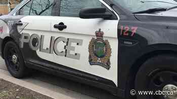 Niagara police officer fled traffic stop, charged with impaired driving, police say