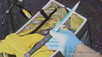 Moment delivery rider was caught with six inch knife after he was stopped by police when he ran a red light