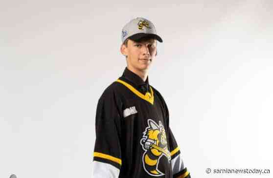 Sting sign Brown, assign him to Leamington Flyers