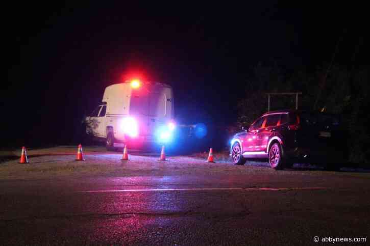 VIDEO: 1 killed in single-vehicle crash in Chilliwack