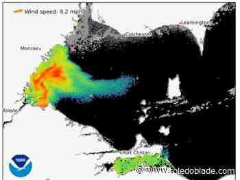 Lake Erie algal bloom remains thick between Toledo and Monroe