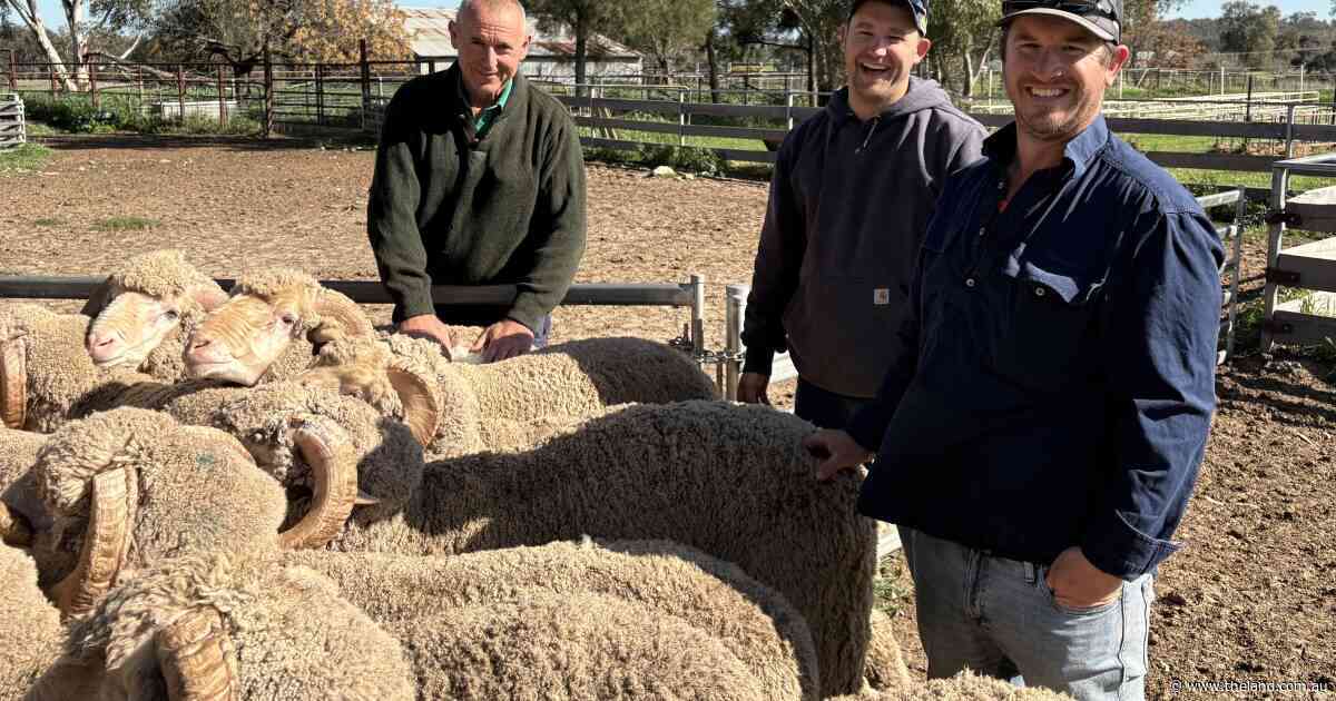 A changing of the guard at Allendale: historic Merino stud enters new ownership