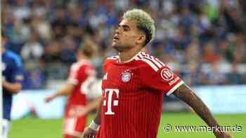 Bayern-Bosse äußern offenbar „Unmut“ über Sorgenkind Luis Diaz