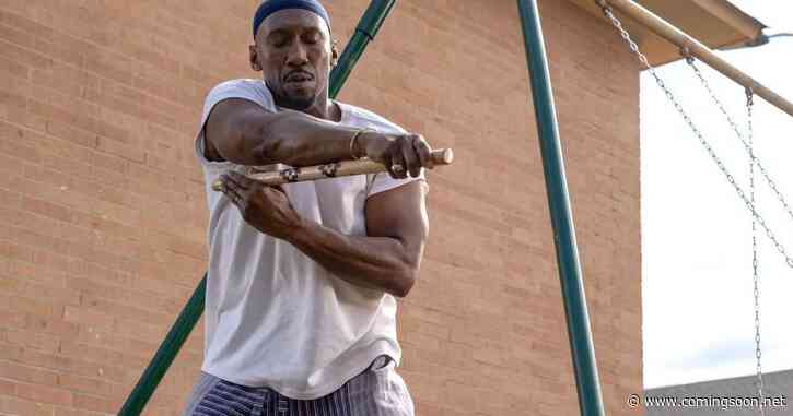 Blade Director Confirms Rumored Plot Detail About Potentially Canceled MCU Movie