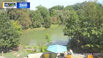 A nice evening, hot/humid tomorrow