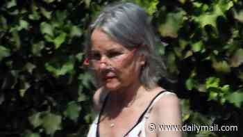 Iconic actress, 78, who has starred alongside Mia Farrow and Natalie Portman steps out in LA... can you guess who?