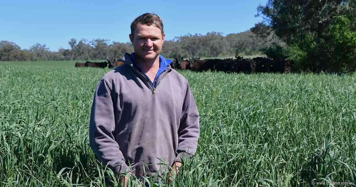 Driving change through data: next gen swaps breeders for information system