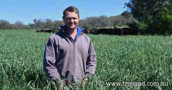 Driving change through data: next gen swaps breeders for information system