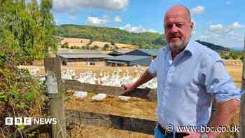 Farmers' support scheme watered down - councillor