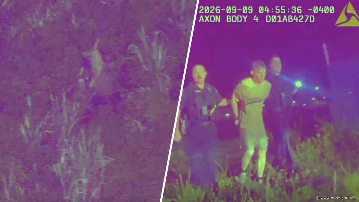 Video shows Florida officers rescue fleeing DUI driver and kids from swamp, cops say