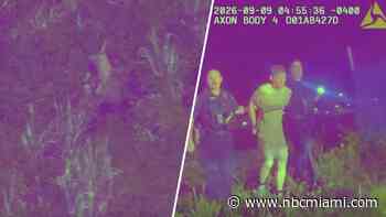 Video shows Florida officers rescue fleeing DUI driver and kids from swamp, cops say