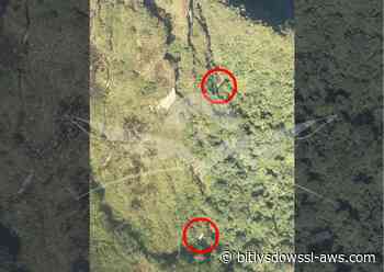 Equipos de rescate ubican en una zona montañosa de Colombia una avioneta siniestrada con cinco personas a bordo