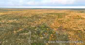 CQ's standout Laglan Pastoral to be sold on a walk in, walk out basis