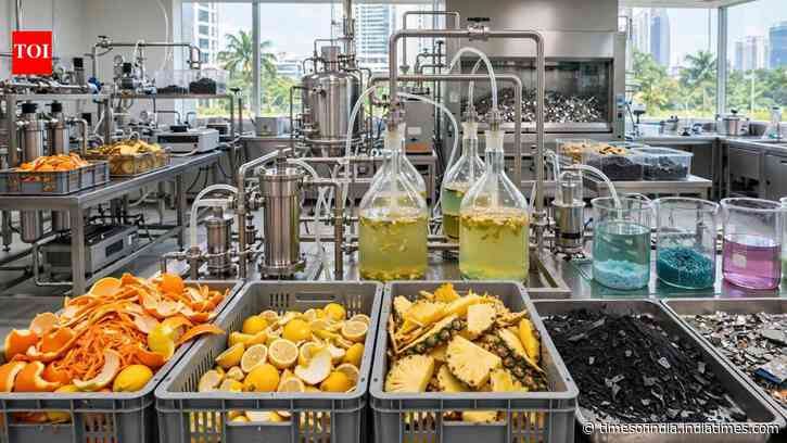 Singapore researchers use fruit peels to recover metals from old batteries