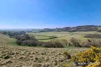 Rare species help Dorset nature reserve gain national recognition