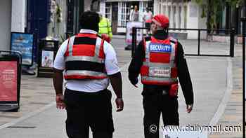 The Daily Debate: Do you support migrant 'police' on Britain's streets?