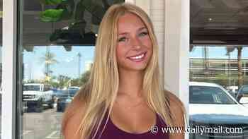 High school volleyball player, 16, left with traumatic brain injury after being run over while on crosswalk as cops hunt for driver who fled the scene