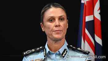 I'm a police boss. Think your occasional line of cocaine is harmless? Here's what Australians need to know
