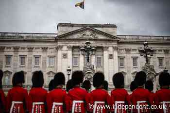 Buckingham Palace guards should swap bearskin caps with fake fur, MPs say