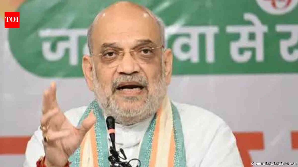 On Shah's UCC claim, 3 BJP allies sound caution