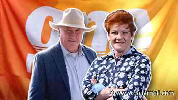 Barnaby Joyce hits back at critics of One Nation's 'net zero' migration plan as experts warn of economic fallout