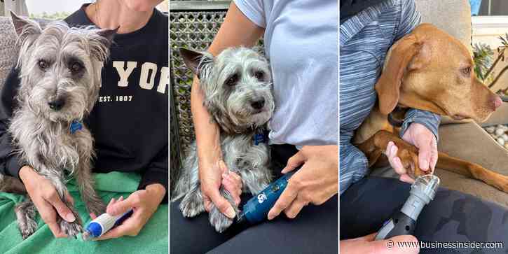 Best dog nail grinders