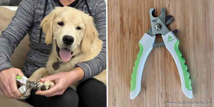 The best dog nail clippers