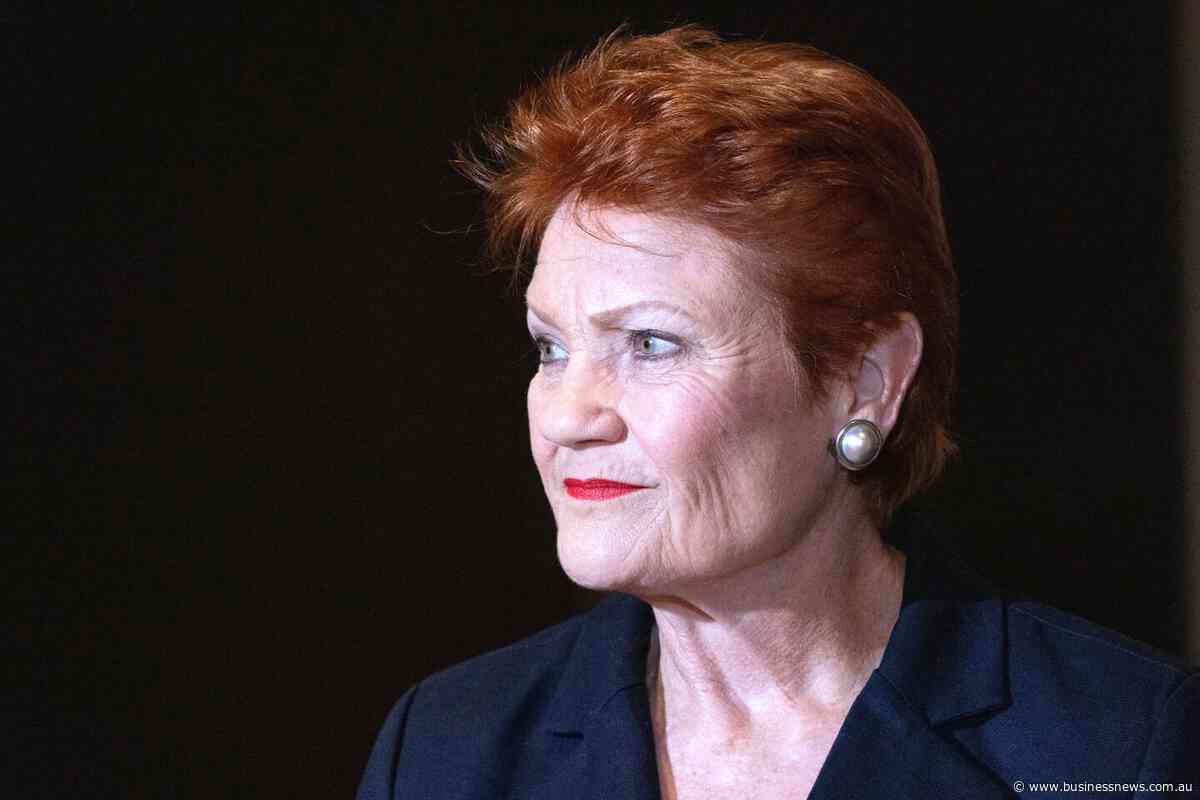 Indigenous senator slams Hanson's 'primitive' slur