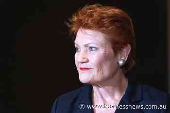 Indigenous senator slams Hanson's 'primitive' slur